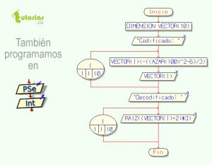 diagrama de flujo: vector codificado