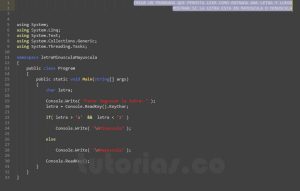 programacion en c#: letra minuscula mayuscula