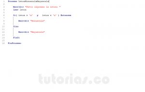 programacion en pseint: letra minuscula mayuscula