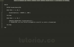 programacion en pseudocodigo: vector de hexadecimales