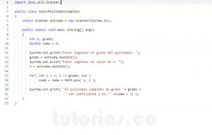 programacion en java: valor polinomio completo