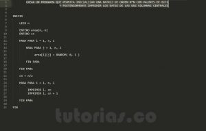programacion en psedocodigo: matriz columnas centrales