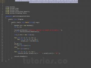 programacion en c#: matriz columnas centrales